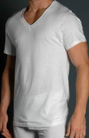 Fruit of the Loom V Neck T-Shirts Big Man 3 Pack (2525VX) XXL/White
